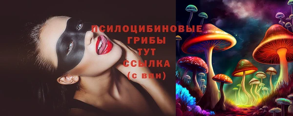 PSILOCYBIN Вязьма